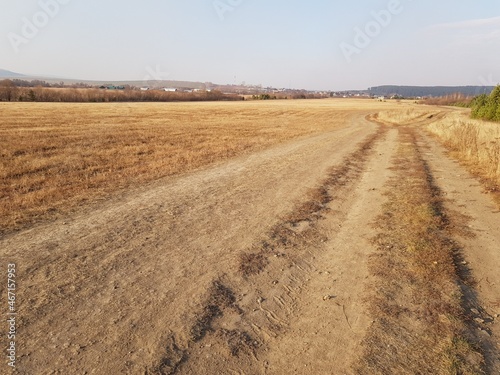 Dirt dirt road in an autumn field
