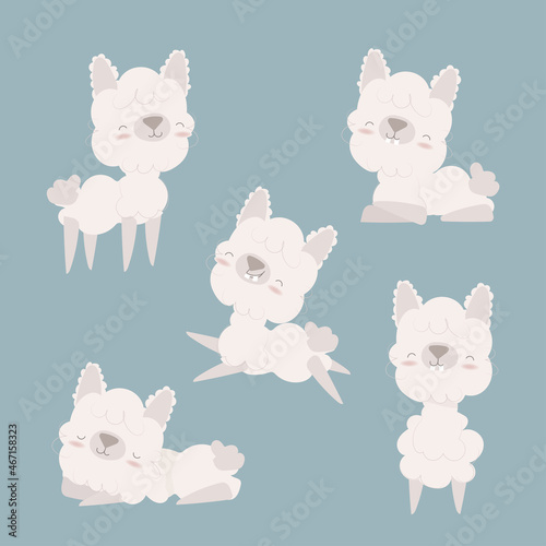 Cute llamas and alpacas. Funny smiling animals isolated. Vector illustration.