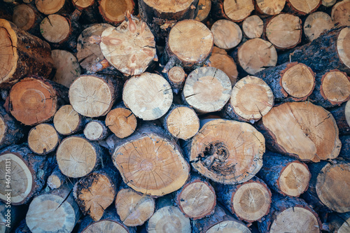 Harvested firewood. Felled trees. Annual rings. Logs for kindling in the barn. A beautiful cut of trees.