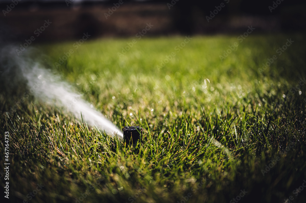 winterizing a irrigation sprinkler system by blowing pressurized air through to clear out water - obrazy, fototapety, plakaty 