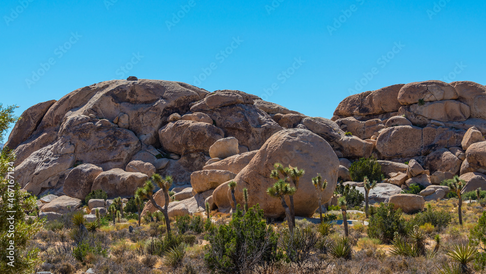 Joshua Tree Nationalpark