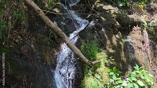 waterfall in the forest