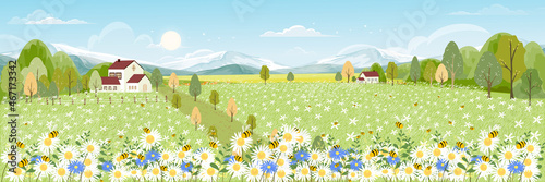 Spring field with fluffy cloud on blue sky,Cute cartoon panorama rural landscape green grass with honey bee collecting pollen on flowers in sunny day Summer,Vector background banner for Springtime