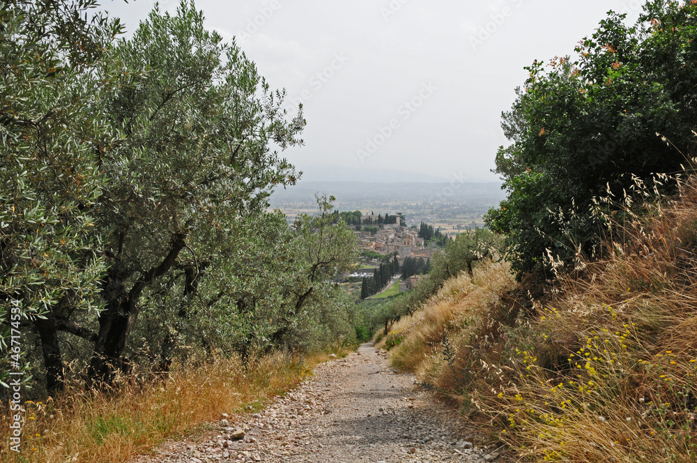 La via Francigena verso Spello - Umbria