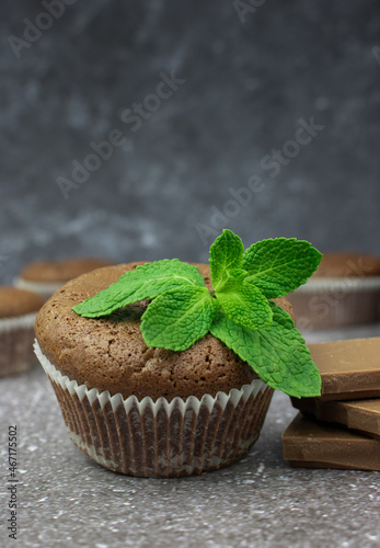 Fototapeta Naklejka Na Ścianę i Meble -  chocolate cupcake, muffin on a dark background with mint and milk chocolate pieces, vertical photo