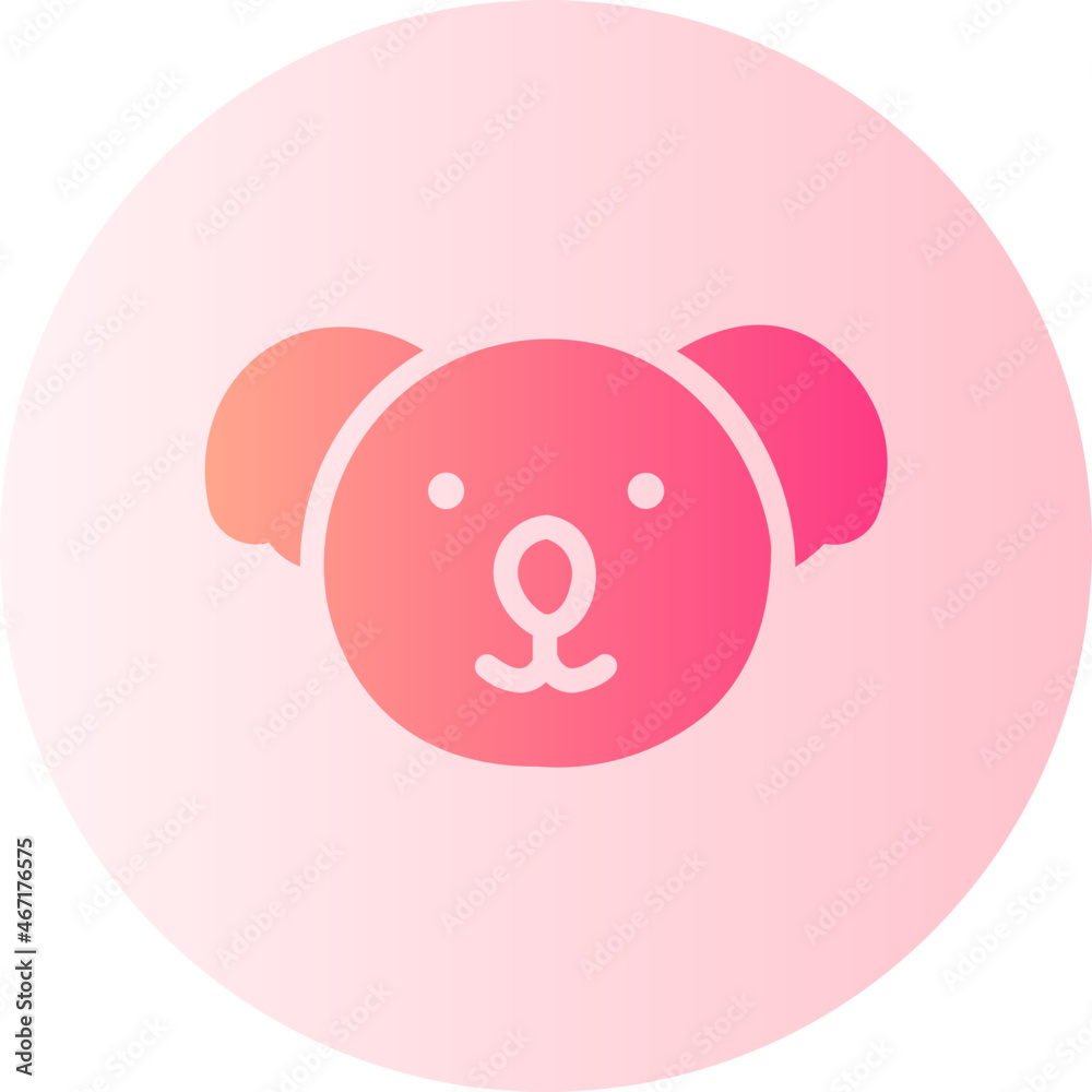 koala gradient icon