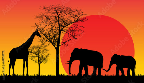 sunset silhouette animal  vector © titima157