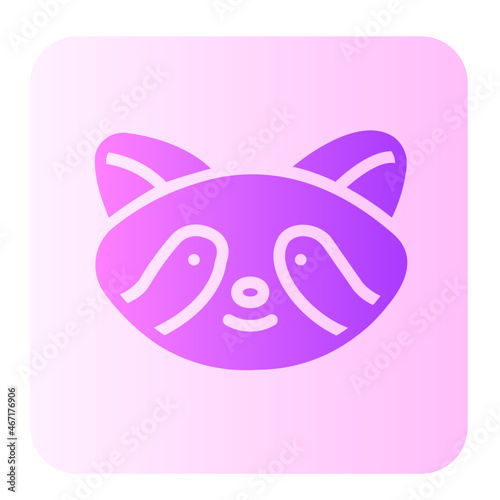 raccoon gradient icon