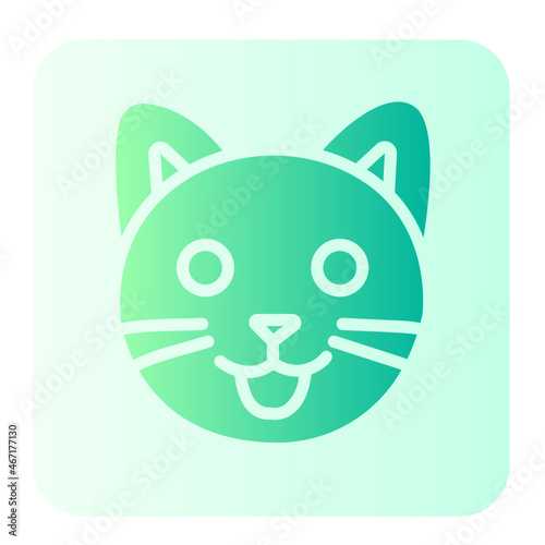 cats gradient icon