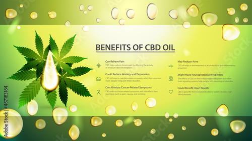 Green banner with drop of cbd oil and green leafs of cannabis on background of oil drops. Medical benefits of use CBD oil.