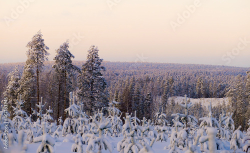 sunrise in the mountains