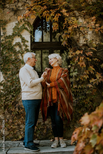 Senior couple embracing in ...