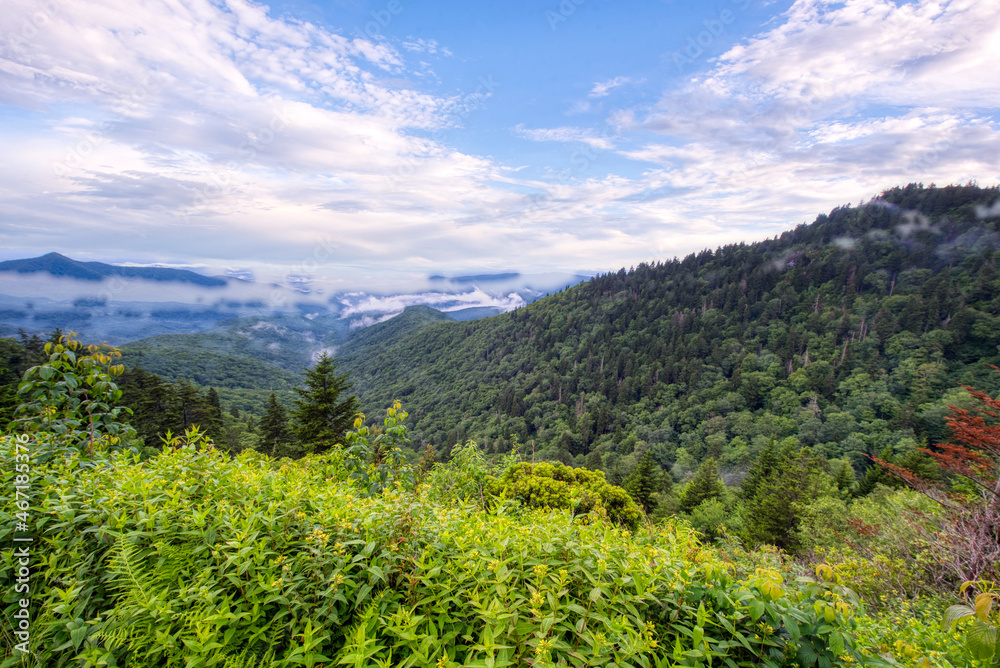 Naklejka premium View from the Blue Ridge Parkway - Western North Carolina