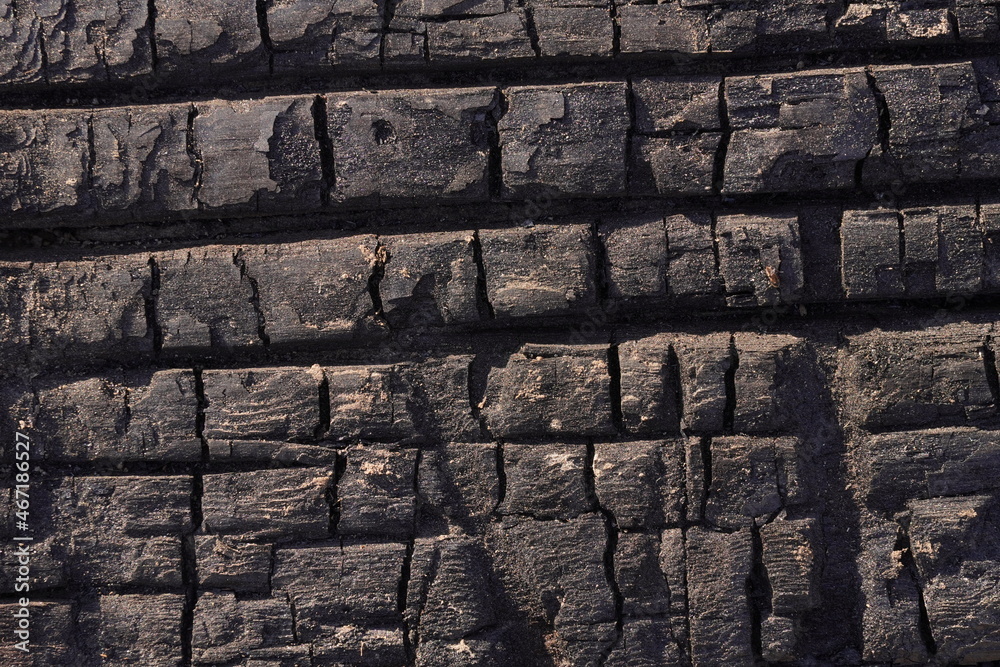 burnt wood texture for background, full screen image burnt wood texture for background, full screen image