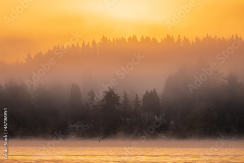 A golden color falls across Lake Washington as the morning sun rises, creating silhouettes of the trees in the background