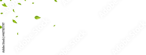Green leaves frame. Vegan, organic, eco design element. Beauty product. Leaf falling. Foliage ornament. Fresh tea composition. Cosmetic pattern frame. Non gmo. Sustainable life. Vector illustration