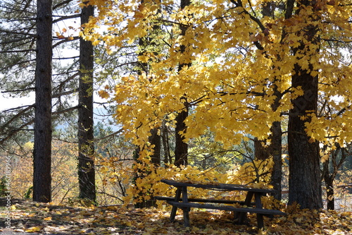 Fall colors in Casentino, Tuscany photo