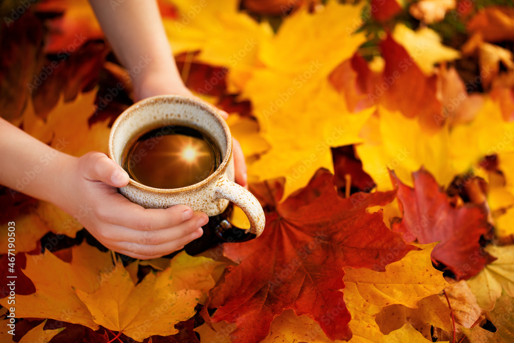 herbata w jesienny poranek, kawa o poranku i kolorowe jesienne liście, herbata jesienna - obrazy, fototapety, plakaty 