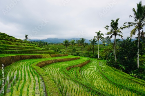 Indonesia, Bali 