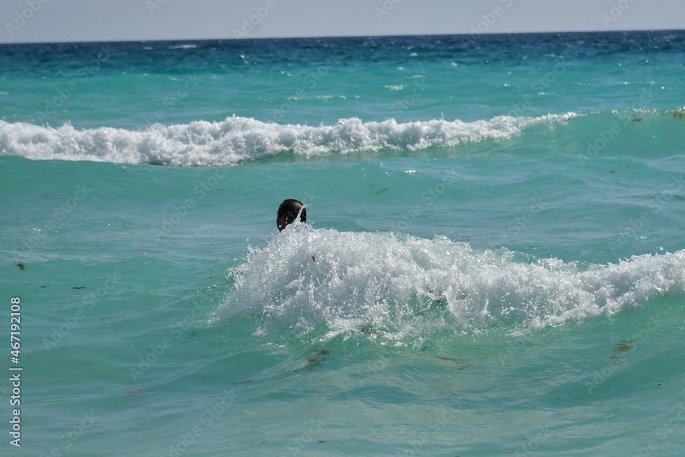 Caribbean Sea seen from Cancun 21 Caribbean Sea seen from Cancun 21
