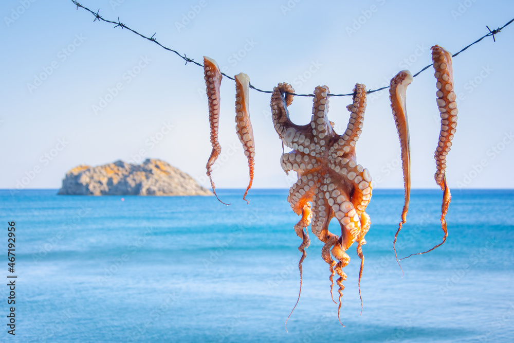 Octopus dried to the sun at the picturesque village of Sigri, Lesvos island, Greece.