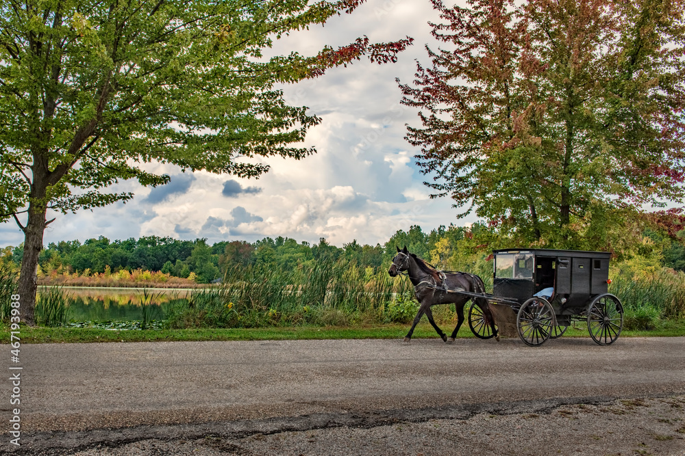 Amish Buggy on rural road by lake