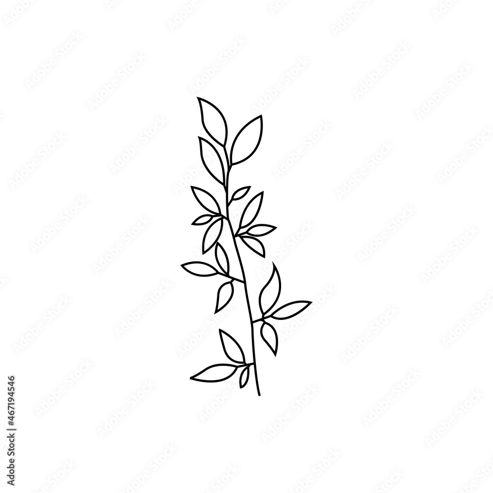 leaf branch icon design template vector