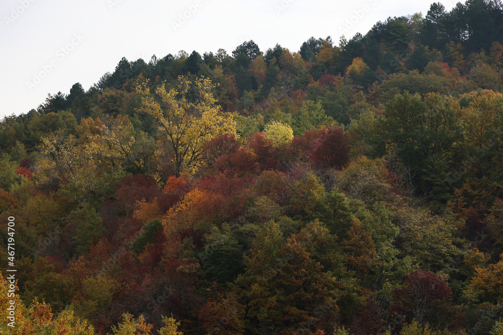 Fall colors in Casentino, Tuscany
