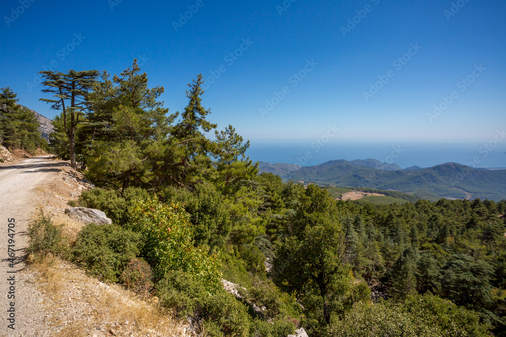 Fototapeta premium Jeep trip in the mountains of Turkey along the Lycian trail. Magnificent views from the height. Pine forest and rocks. Sea view from the top.