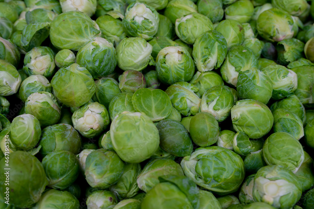 Brukselka przygotowania do sprzedaży na targu / Brussels sprouts preparing for sale at a market Brukselka przygotowania do sprzedaży na targu / Brussels sprouts preparing for sale at a market