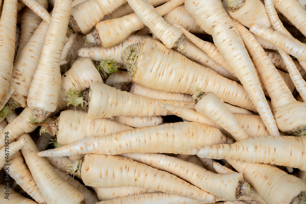 Świeża umyta pietruszka, nać pietruszki, korzeń pietruszki, Fresh washed parsley, parsley leaves, parsley root
