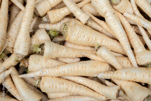 Obraz na płótnie Świeża umyta pietruszka, nać pietruszki, korzeń pietruszki, Fresh washed parsley, parsley leaves, parsley root w salonie