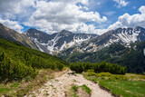 Slovak Western Tatras. View of the Rohace peaks.