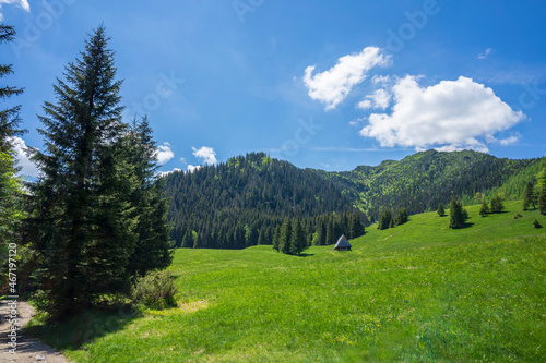Fototapeta Naklejka Na Ścianę i Meble -  Kalatowki Glade in June. Western Tatra Mountains.