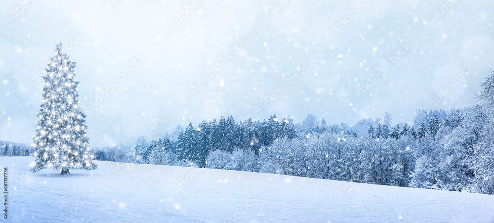 Fototapeta premium Schneelandschaft mit Tannenbaum