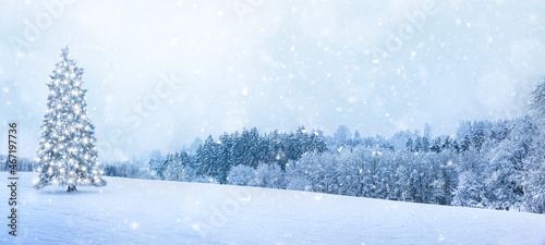 Schneelandschaft mit Tannenbaum