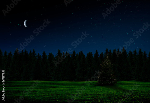 Weihnachtsbaum am Waldrand bei Nacht