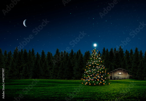 Weihnachtsbaum am Waldrand bei Nacht