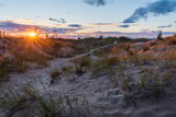 Sunset through Sand Dunes