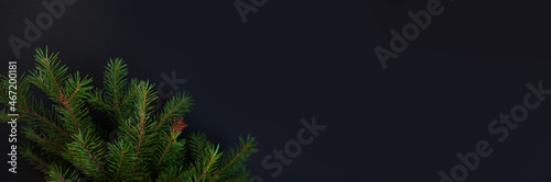 Happy new year and Merry Christmas. Background of Christmas tree branches.