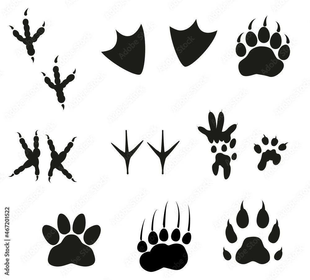 Animal footprint set isolated on white. Vector monochrome black illustration. Animal footprint set isolated on white. Vector monochrome black illustration.