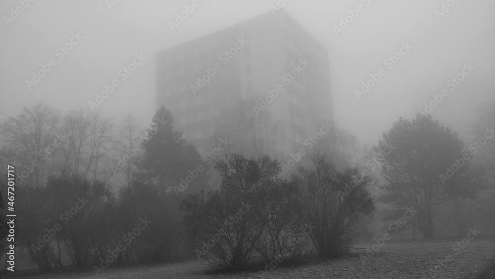 Trees with an apartment building in the park during misty morning. The atmosphere looks mysterious but beautiful in the same time. It's Winter so the grass has time on it. - obrazy, fototapety, plakaty 