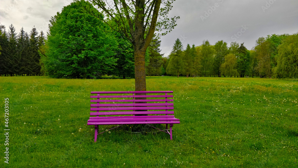 Pink bench in the fresh green park standing by a tree with beautiful meadow in behind. There is also mixed forest in the background. Everything is green and fresh. Pink bench in the fresh green park standing by a tree with beautiful meadow in behind. There is also mixed forest in the background. Everything is green and fresh.