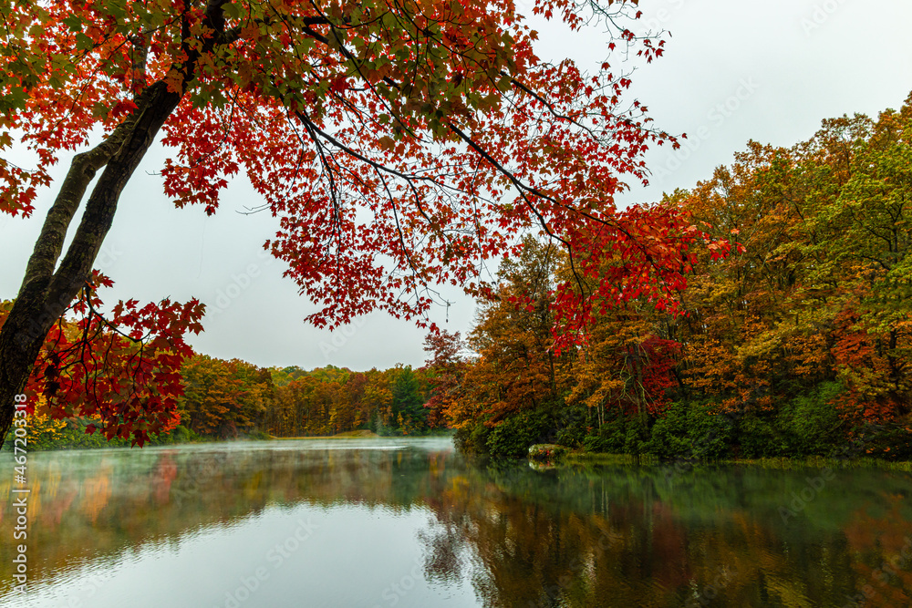 Fall Color Reflections on The Misty Surface Of Boley Lake, Babcock State Park, West Virginia, USA