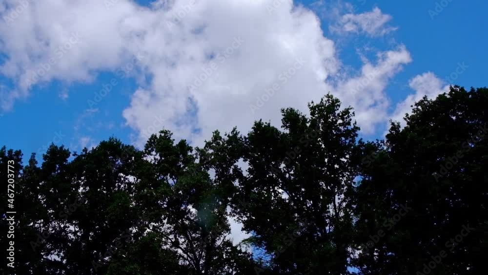 Blue sky with clouds and sunbeams on a background of dark trees. Blue sky with clouds and sunbeams on a background of dark trees.