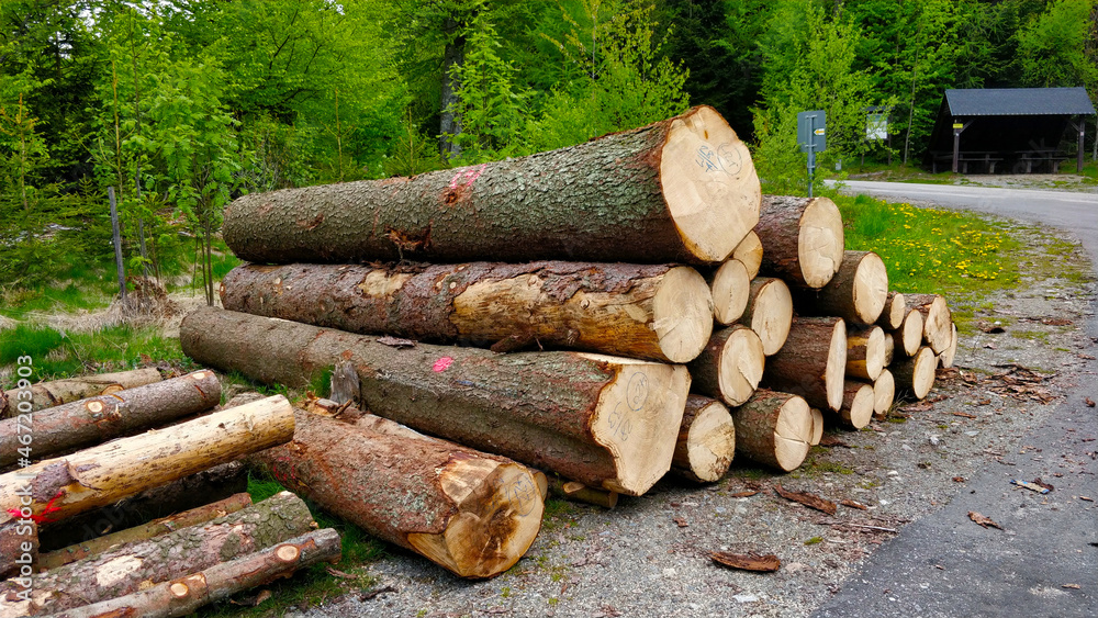 Logs pilled up onto each other waiting to be transported into the sawmill. They are located by the road in the forest of Sumava in South Bohemia. Logs pilled up onto each other waiting to be transported into the sawmill. They are located by the road in the forest of Sumava in South Bohemia.