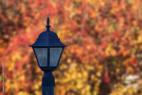 lantern in autumn