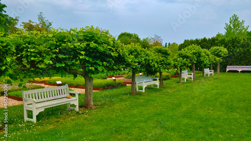 Quadro su tela Four white benchs between two small trees in the park