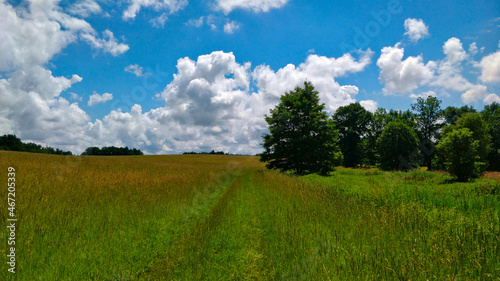 Grassland surrounded by forest in the South Bohemian region during beautiful weather. White clouds on the sky creates nice scenery.