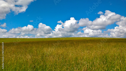 Large pasture in South Bohemia during beautiful summer weather. Beautiful white clouds creates an amazing scenery on the horizon.